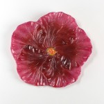 Hibiscus Hibiscus