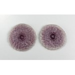 Small Zinnias (2) Small Zinnias (2)