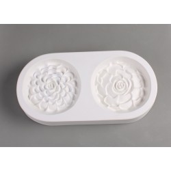 Succulents (2) Succulents (2)