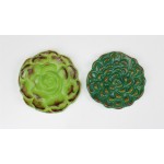 Succulents (2) Succulents (2)