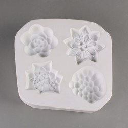 Small Succulent Small Succulent