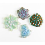 Small Succulent Small Succulent